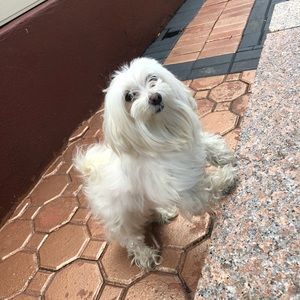 Meet your Posher, Shawna